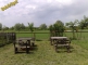 baberliget_lovasklub_18